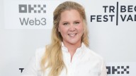 Amy Schumer's Transformation Through the Years