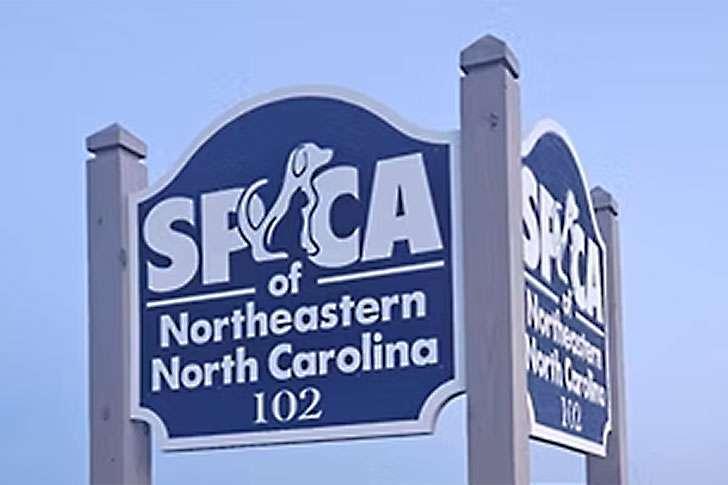 The Outer Banks Voice -   Currituck County agrees to accept stray dogs after Pasquotank County shelter shuttered by the state