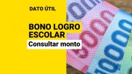 Bono Logro Escolar: Así podrás consultar el monto que te corresponde
