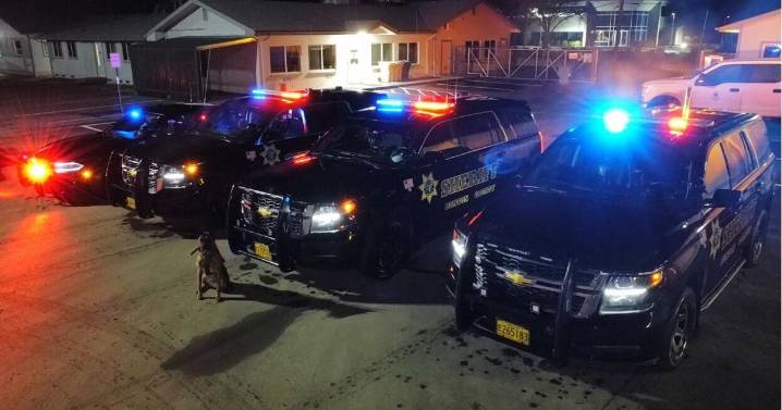 Corvallis officials euthanize cougar after livestock attack