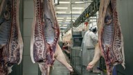 Santa Fe acompaña los récords del sector porcino nacional con el 18,5% de la faena