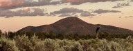 Interior Proposes to Scrub Biden-Era Land Conservation Rule