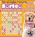 Realizan rifa para alimentar a 58 animales de un refugio