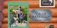 John’s Big Ol’ Fish: Sunday, September 28