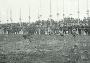 1925 | Las carreras de galgos decepcionaron