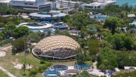 Top Miami-Dade officials hail proposed agreement for future of embattled Miami Seaquarium