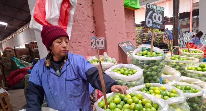 Huancayo: Precio del limón se incrementa por escasez en el norte