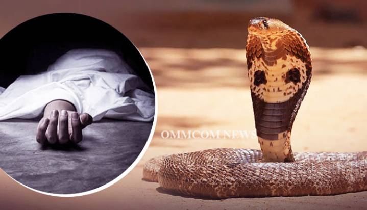 Woman, Son Die After Being Bitten By Venomous Snake In Sundargarh