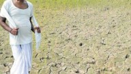 Land brokers grabbing tribal land in Cuttack as factories, farmhouses crop up!