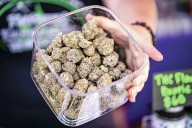 Pregnant women should not use cannabis, new medical guidelines say