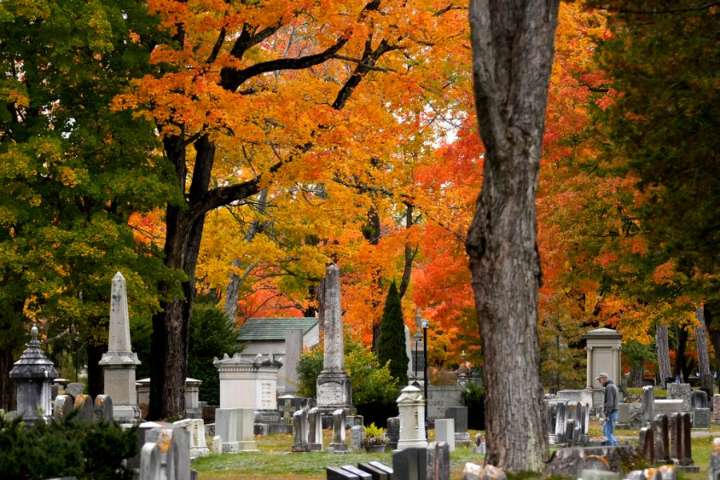 Where fall foliage will be best (and where it may be dull) in 2025