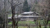 Trails Carolina, Asheville Academy owner seeks dismissal…
