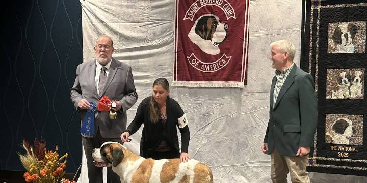 St. Bernard National Dog Show held in South Sioux City