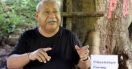 La Milpa: Un bosque hondureño donde los árboles honran a mártires