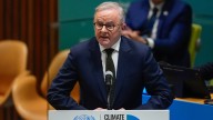 ‘It was very warm’: Anthony Albanese reveals details of first chat with Donald Trump ahead of upcoming meeting