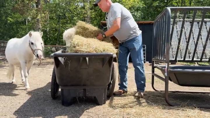 Dare to Dream Ranch is changing lives, one veteran at a time