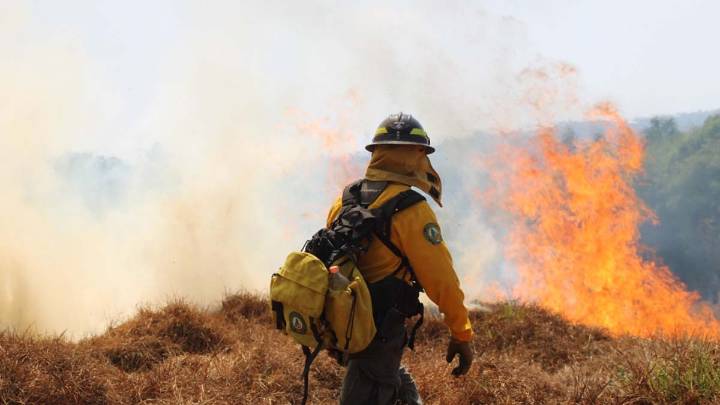 Acumula Nayarit más de 60 mil hectáreas afectadas por incendios forestales