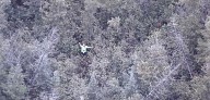 Survival challenge contestant rescued from woods