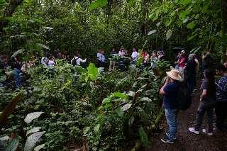 Parques Vivos y Corredores Verdes se abren camino en Pereira