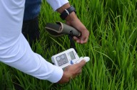 El primer Doctorado en Bioeconomía del país será ofertado en Unibagué