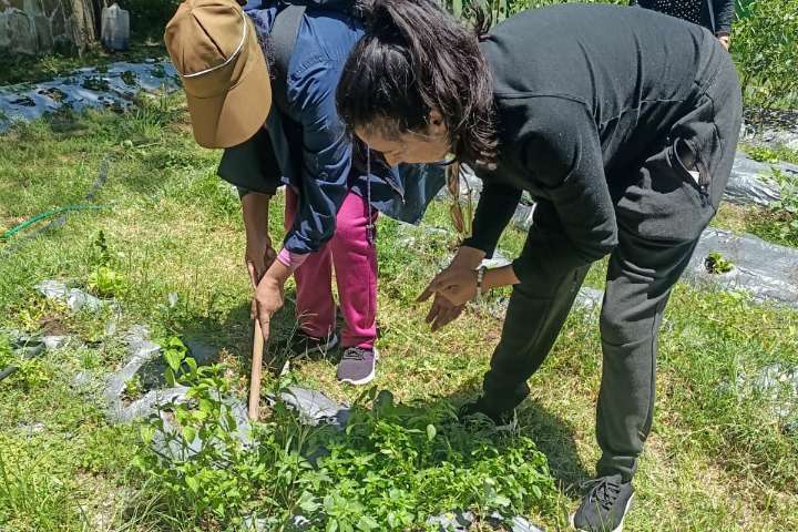 Mujeres inician curso “Huertos Familiares” con respaldo del ayuntamiento de Tlaxcala