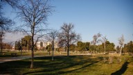 El parque Tío Jorge se prepara para su reforma integral: ¿Qué pasará con la Cincomarzada?