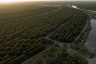 China probes US, Mexican pecan imports, Mexico’s restriction measures