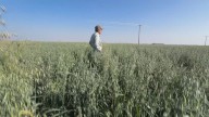 Farmer near Calgary fighting against proposed ‘data centre’ development