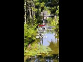 Inside a ‘White Lotus’ resort