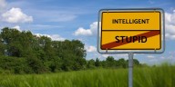 The nominations for the 2025 AI Darwin Awards are open • The Register