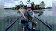 Marshall County gears up for fall fishing season, upcoming tournaments announced