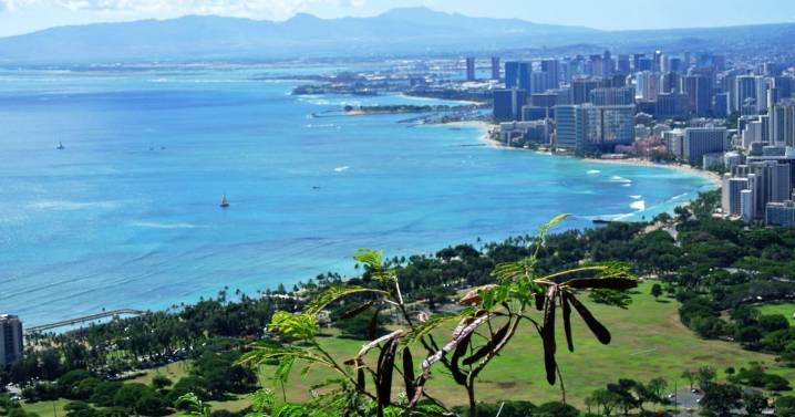 What do Nebraska and Hawaii have in common? You'll be happy with the answer.
