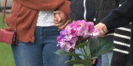 Memorial placed on Broadway St. to remember 11