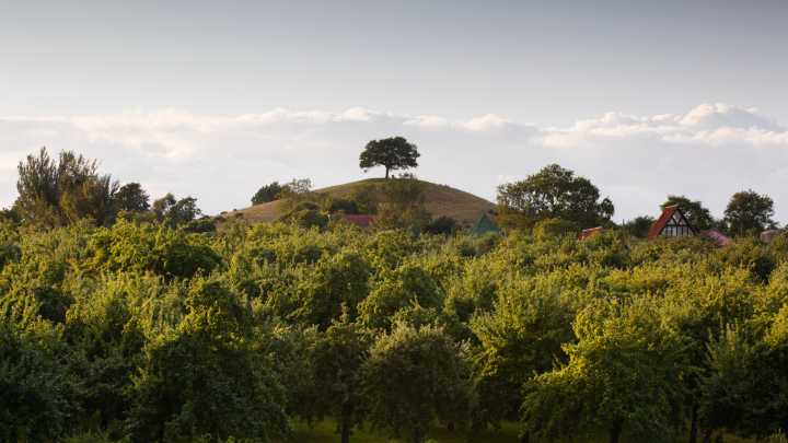 Cider farms to visit this autumn