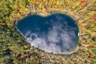Pull over, this I-75 pitstop has its first pop of fall color