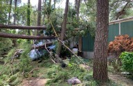 Dos personas mueren en accidente aéreo al norte de Houston