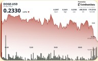 DOGE Holds Firm Above $0.24 Support in Choppy Session