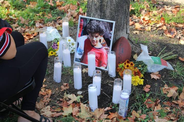 West Side Parents Want More Crossing Guards After Boy, 9, Killed By Driver Outside School