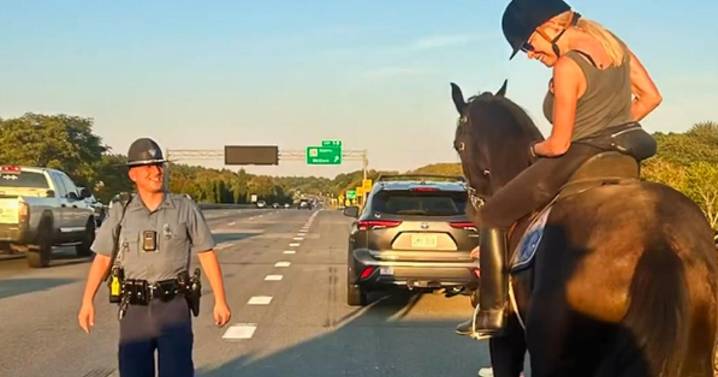Horse rescued from I-93 in Massachusetts, after it ran away from rider