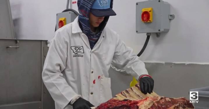 Montana Ag Network: students learn meat processing skills