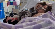 'My daughter was paralysed from neck down days after we thought she had virus'