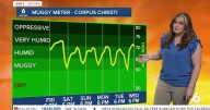 WEEKEND FORECAST: Comfortably warm and sunny conditions across the Coastal Bend