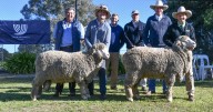 Yarrawonga 2025 ram sale results, top price and average