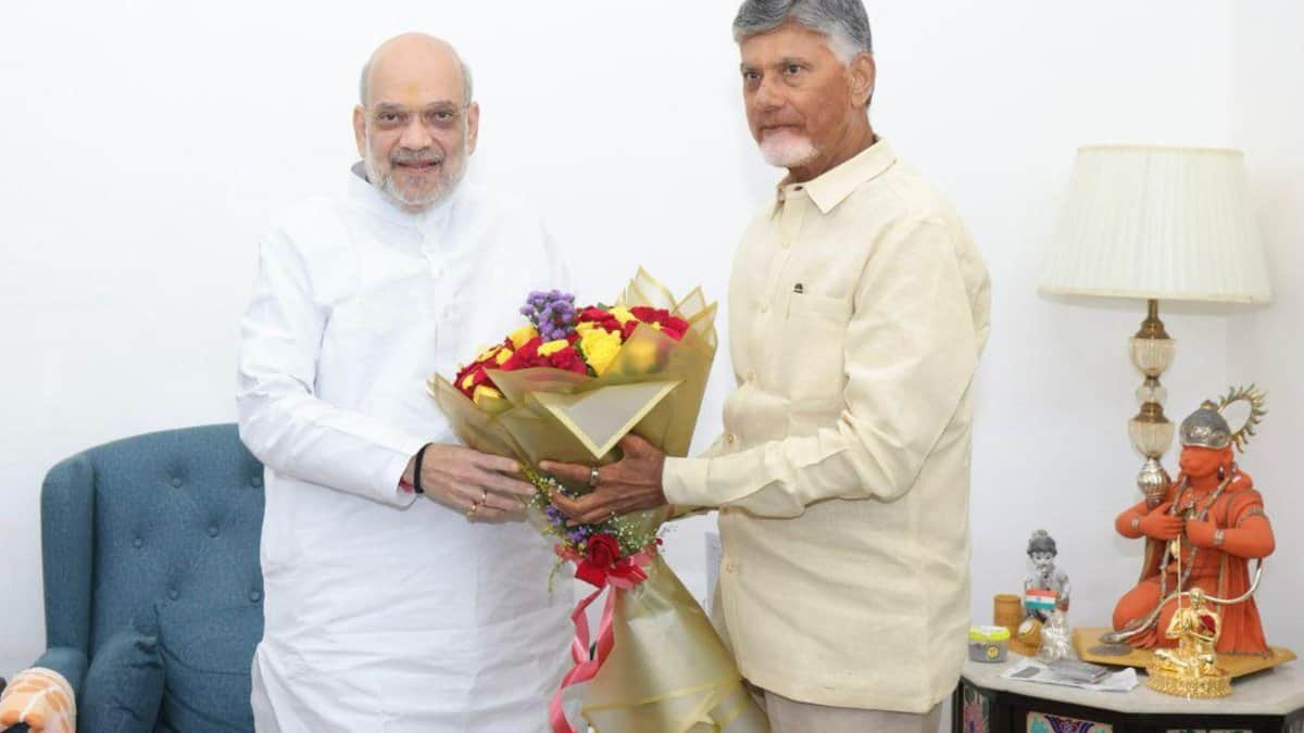 Andhra Pradesh CM Naidu, TDP MPs meet Amit Shah in Delhi