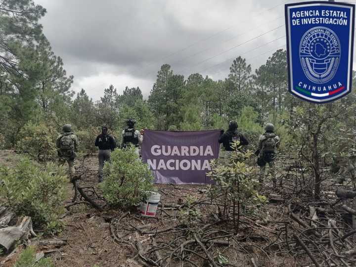 Asegura Célula BOI artefactos explosivos en Guadalupe y Calvo