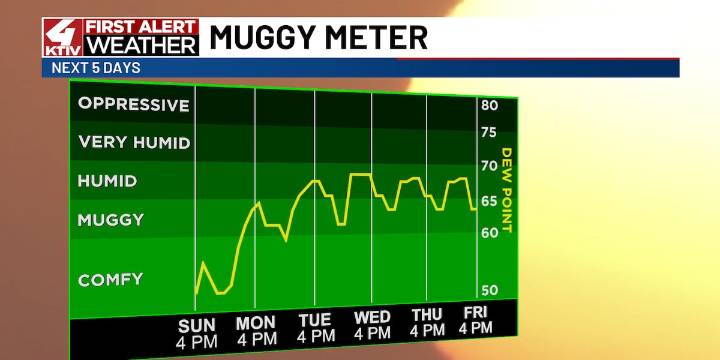 Warmer, more humid days ahead