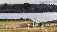 Battle for the bush? Ignore the noise – most farmers like renewables