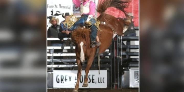 Badlands Circuit Finals Rodeo coming to Magic City next month