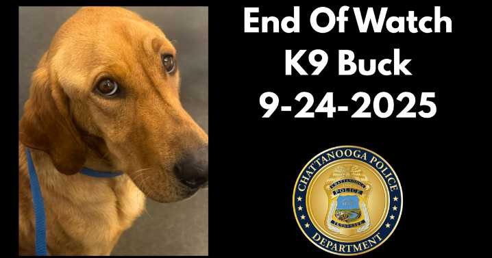 Chattanooga police mourn loss of K9 Buck to medical complications