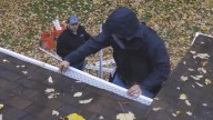 Business In Focus: Leaf Home